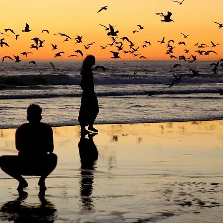 The Charming 1br Retreat At Caparica, By 351lisbon *